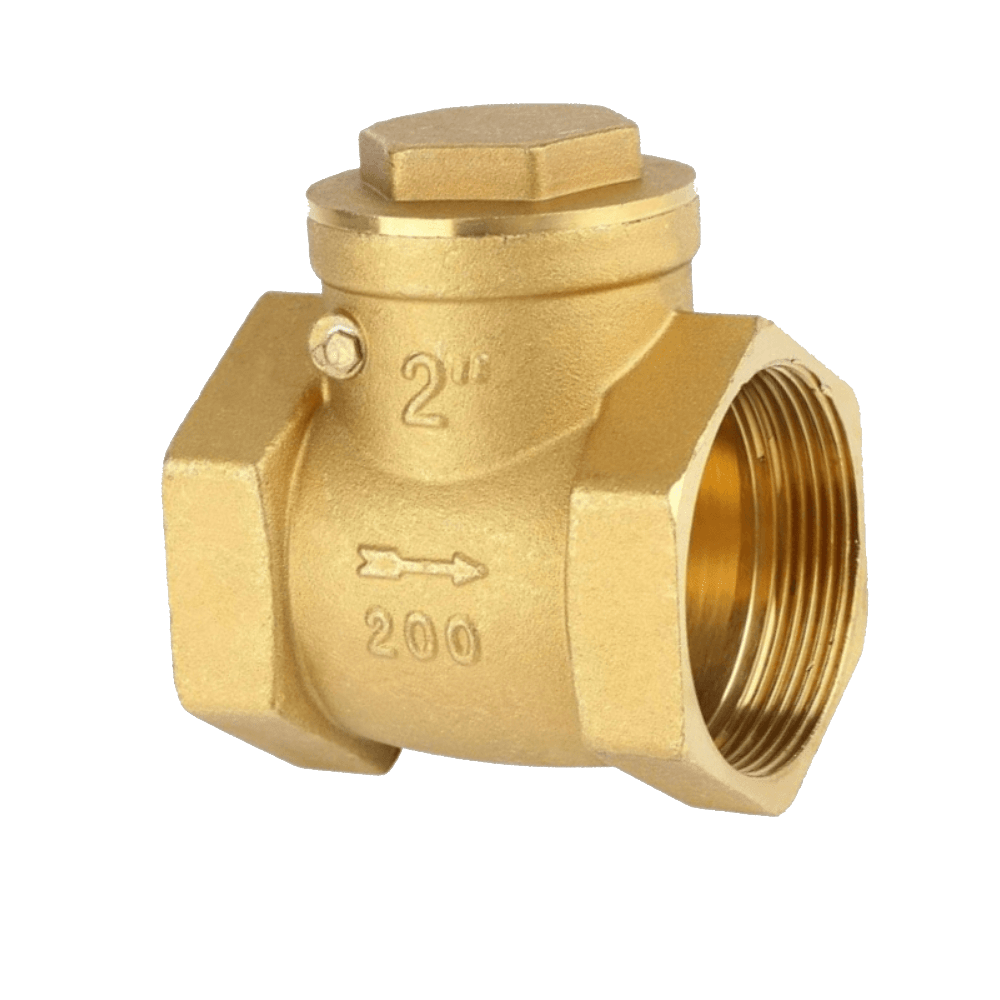 Check Valve